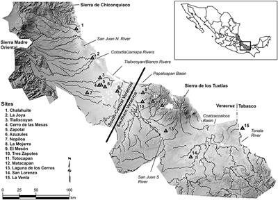 Mixed Governance Principles in the Gulf Lowlands of Mesoamerica